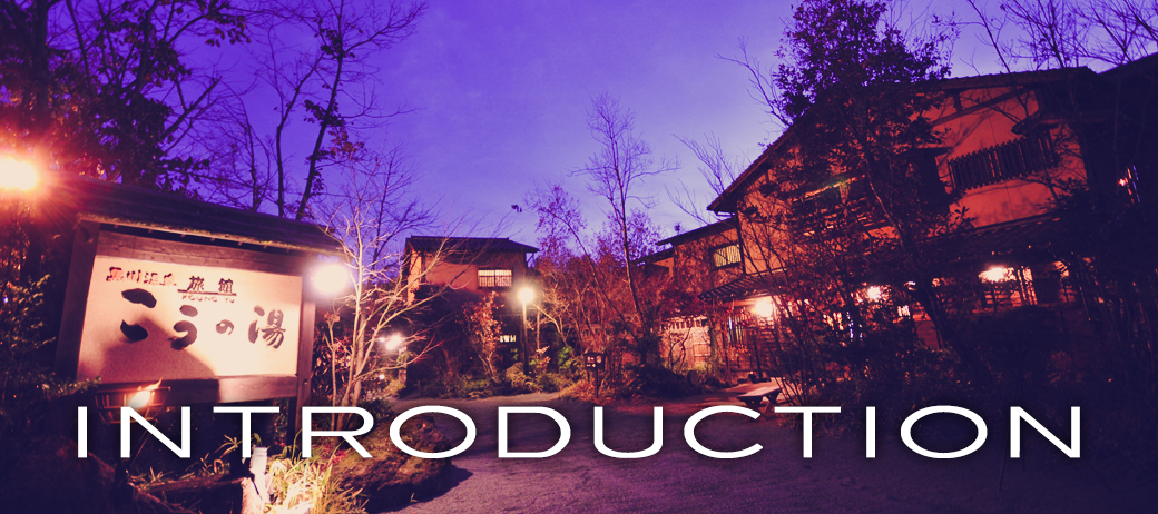 Introduction